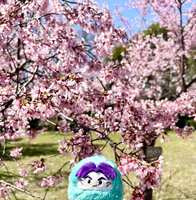 https://images.plurk.com/3mfys3DRl4bzSYmH1Zju2U.jpg