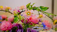 https://images.plurk.com/3mlSebzAfGGdbv8wUPqAey.jpg