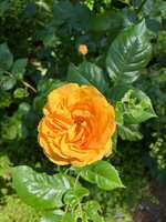 https://images.plurk.com/3mpGTewda6NsJPNbkvYdhg.jpg