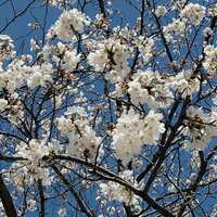 https://images.plurk.com/3myQl0UAq21pDtPgHUPzR6.jpg