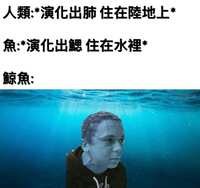 https://images.plurk.com/3mzzhlvmWvd54J9ZBJEP7b.jpg