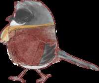 https://images.plurk.com/3n2i9NCjfv3vANl0iOTPJ5.png