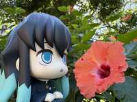 https://images.plurk.com/3nCKs6Ub3ipWkohm215Aq1.jpg