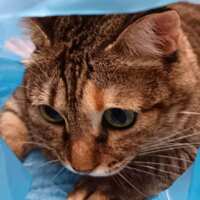 https://images.plurk.com/3nIwSMZKMFgAj8Nmc37USl.png