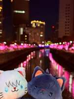 https://images.plurk.com/3nR8W6kgiSRr9TS9P4Zg4o.jpg