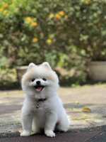 https://images.plurk.com/3nSp0Zrgs8r3kCmQ1qBDwh.jpg
