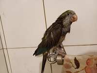https://images.plurk.com/3nd6Q2XeedXtg0t26XXS0W.jpg