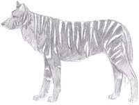 https://images.plurk.com/3nl0LihMSOw4PHQMbDOG1O.png