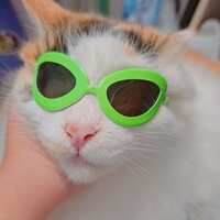 https://images.plurk.com/3npkLD3R0l3zhyEmSzyp7g.jpg