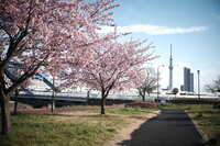 https://images.plurk.com/3nzpkmkhMLIURShhTfd42V.jpg
