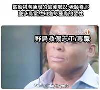 https://images.plurk.com/3o5igpTS0V6MXF5pNqNlmP.png