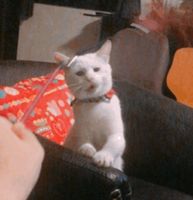 https://images.plurk.com/3o6E0gjZ0zRfwz4Rd1wxmb.jpg