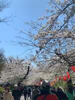 https://images.plurk.com/3oPEdEo8Ub3WDbLW5b5Ds7.jpg