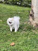 https://images.plurk.com/3oRHAfUmFuEtTJk6fZ6nR1.jpg