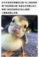 https://images.plurk.com/3oliY89pvCUAtNxtu9A91I.jpg