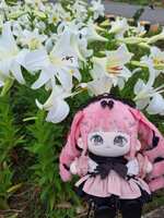 https://images.plurk.com/3omuzofuSZrFwFyagein34.jpg