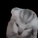 https://images.plurk.com/3ovYhB0WAHMwgNOn3PidnH.gif
