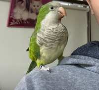 https://images.plurk.com/3ovZ25BiTcDyzoLNWFx9sj.jpg