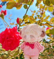 https://images.plurk.com/3p13sJKzrItwrC7zyhy9uJ.jpg