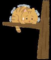 https://images.plurk.com/3p9TQLvs6BivBJIKMA5OZP.png