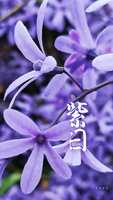 https://images.plurk.com/3pAh2rYDhLLGvj4Knkz6l3.jpg