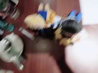 https://images.plurk.com/3pGDtcXmg9yPy2i9EwRl5U.jpg