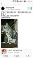 https://images.plurk.com/3pIcOyRKC7Px5mPPFoSMks.jpg