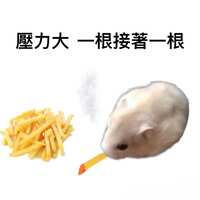 https://images.plurk.com/3pNJk6jOA2qSd0SZfcU6SZ.jpg