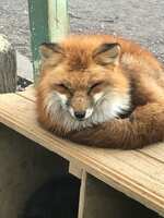 https://images.plurk.com/3pOy1i6pXMLHglXTBxBlCn.jpg