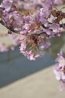 https://images.plurk.com/3pRNAfGWc2L2aNitNSEGNX.jpg