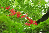https://images.plurk.com/3pWiApgwZIQurzTCFmDvoD.jpg