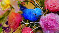 https://images.plurk.com/3pXbUkaP66afpacFOEP4Ia.jpg