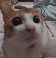 https://images.plurk.com/3pdNwY9MwZsPi4wsaWZuY1.jpg