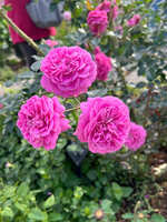 https://images.plurk.com/3pdcpLmb042CDSl4en6kIr.jpg