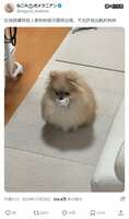 https://images.plurk.com/3pqNCtDFluMNwSQXYy3Vnc.jpg