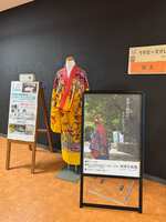 https://images.plurk.com/3pwD2IEdq8WvHPQq3JJPLQ.jpg
