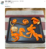 https://images.plurk.com/3pyLZ33yO2vqaysQqsA7QW.png
