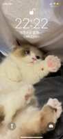 https://images.plurk.com/3q6vPEhg9VKF1ouIdpasry.png