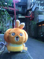 https://images.plurk.com/3qGSia4oa1tbcSNGsN8Pxo.jpg