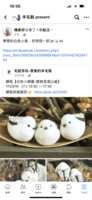https://images.plurk.com/3qNNtwoR409jCl5y1wjSaX.png