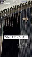 https://images.plurk.com/3qVcD6ffLS0Gm3YkwqsOrs.jpg