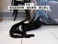 https://images.plurk.com/3qYFUSTsmuHaeA1wkT6sjP.jpg
