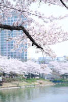 https://images.plurk.com/3qqkefXJce7DRsZEMyvsnS.jpg