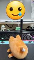 https://images.plurk.com/3r6SGDnhaX4II1IMjawxkl.jpg