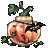 https://images.plurk.com/3rMZG0FtwCxiEydRdRnKhy.png