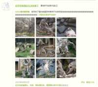 https://images.plurk.com/3rRAmCrsHzGgaXjcF2s62h.png