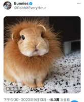 https://images.plurk.com/3rWGr7txWBenuae7jC5K8W.jpg