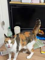 https://images.plurk.com/3rj2QlXmmrxvIuPHzL3mBY.jpg