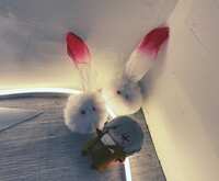 https://images.plurk.com/3ruXHj41zPQPxSLbKvNxGn.jpg