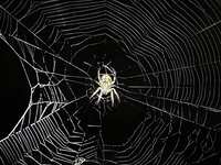https://images.plurk.com/3rvapjme2E3R8fVLb93tYa.jpg